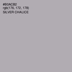 #B0ACB2 - Silver Chalice Color Image